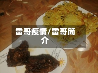 雷哥疫情/雷哥简介