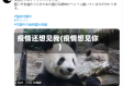 疫情还想见我(疫情想见你)