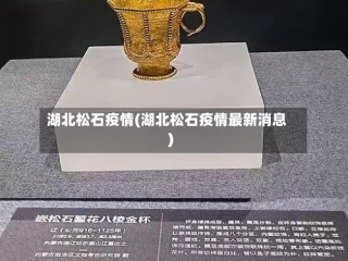 湖北松石疫情(湖北松石疫情最新消息)