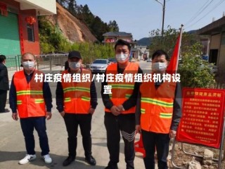 村庄疫情组织/村庄疫情组织机构设置