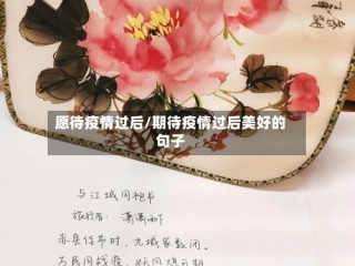 愿待疫情过后/期待疫情过后美好的句子