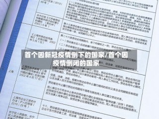 首个因新冠疫情倒下的国家/首个因疫情倒闭的国家