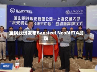 宝钢股份发布Baosteel NeoMETA品牌