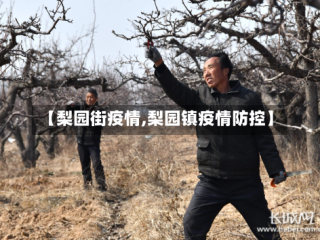 【梨园街疫情,梨园镇疫情防控】