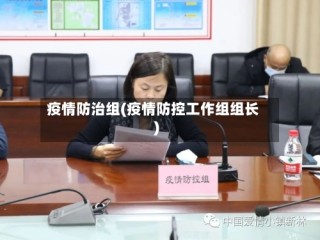 疫情防治组(疫情防控工作组组长)