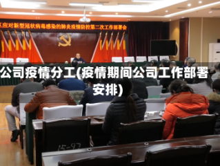 公司疫情分工(疫情期间公司工作部署安排)