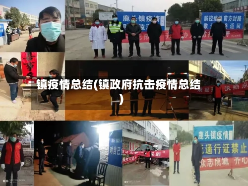 镇疫情总结(镇政府抗击疫情总结)-第3张图片