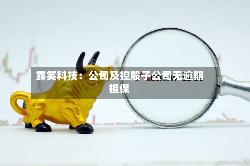 露笑科技：公司及控股子公司无逾期担保-第1张图片