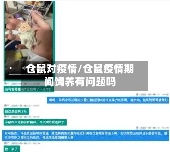仓鼠对疫情/仓鼠疫情期间饲养有问题吗-第1张图片