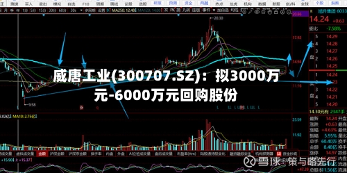 威唐工业(300707.SZ)：拟3000万元-6000万元回购股份-第1张图片