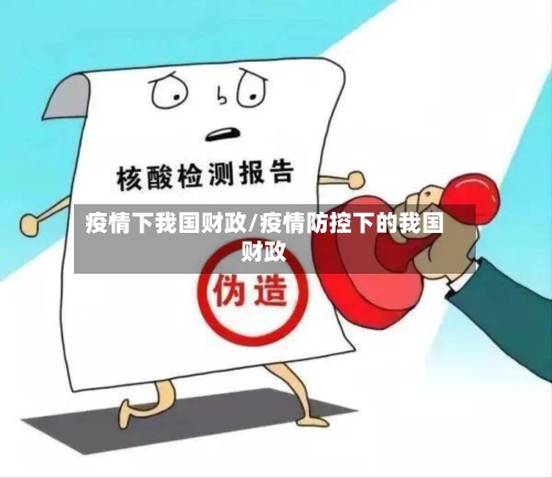 疫情下我国财政/疫情防控下的我国财政-第1张图片