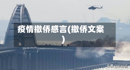 疫情撤侨感言(撤侨文案)-第3张图片