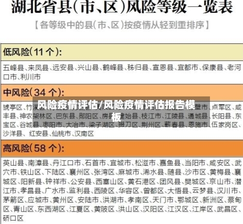 风险疫情评估/风险疫情评估报告模板-第1张图片