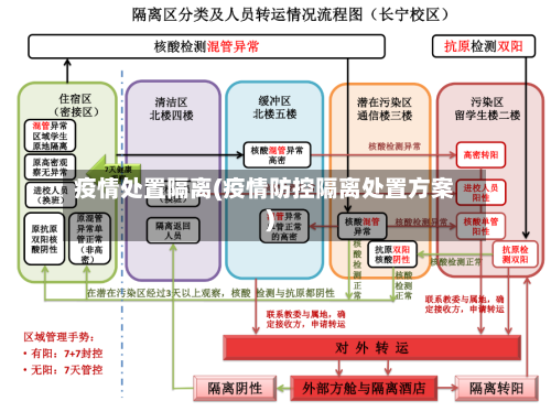 疫情处置隔离(疫情防控隔离处置方案)-第1张图片