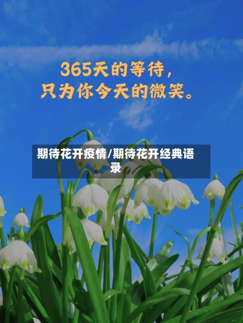 期待花开疫情/期待花开经典语录-第1张图片