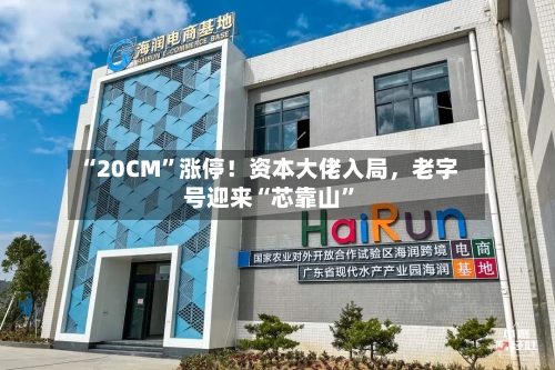 “20CM	”涨停！资本大佬入局	，老字号迎来“芯靠山”-第1张图片