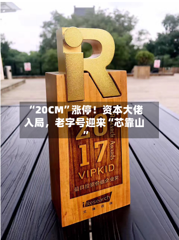 “20CM”涨停！资本大佬入局，老字号迎来“芯靠山	”-第2张图片