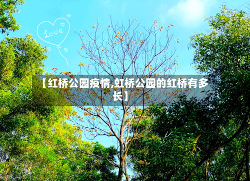 【红桥公园疫情,虹桥公园的红桥有多长】-第2张图片