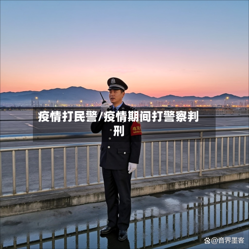 疫情打民警/疫情期间打警察判刑-第1张图片
