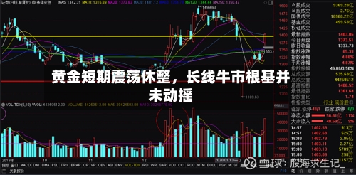 黄金短期震荡休整，长线牛市根基并未动摇-第1张图片